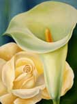 Calla mit Champangerrose